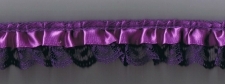 R0156R Purple/Purple